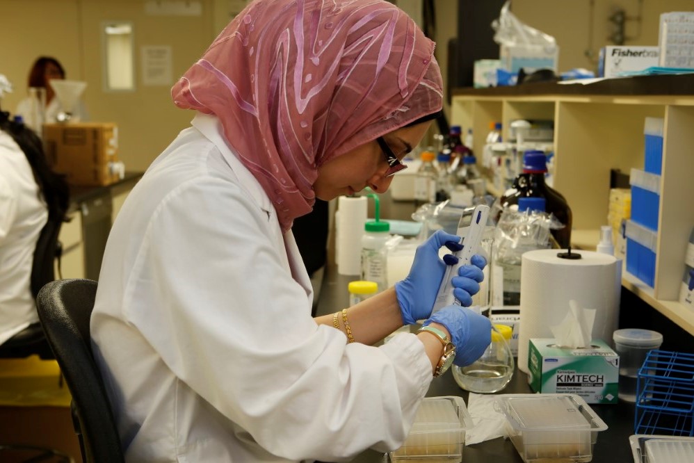 BioPharma Services: Canada’s Leading CRO Delivering Excellence In Bioanalysis Bioequivalence Studies