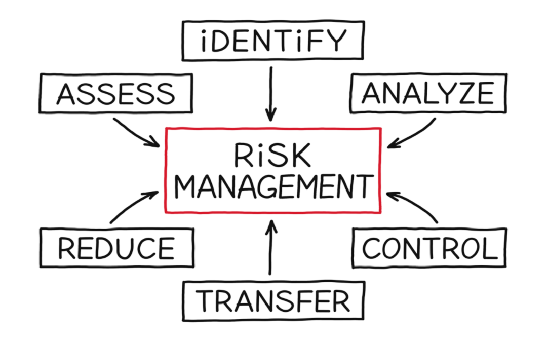 Risk Management in Clinical Research: Minimizing risk and ensuring data integrity