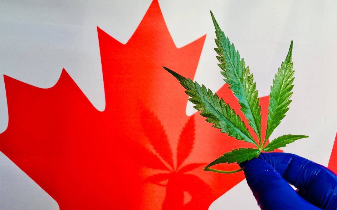 Cannabis Research: New Opportunities Open for Non-Therapeutic Studies