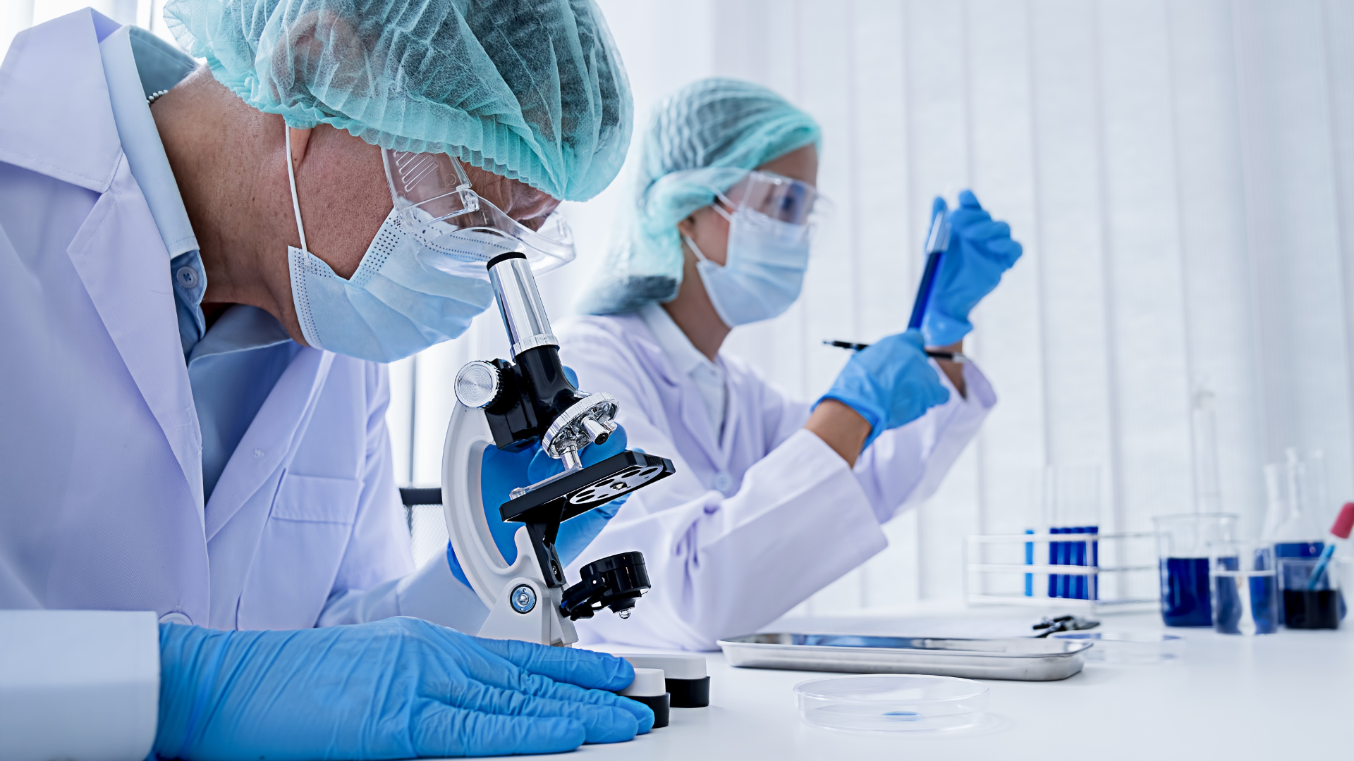 Role of the Institutional Review Boards (IRBs) at a Phase 1 CRO blog image.