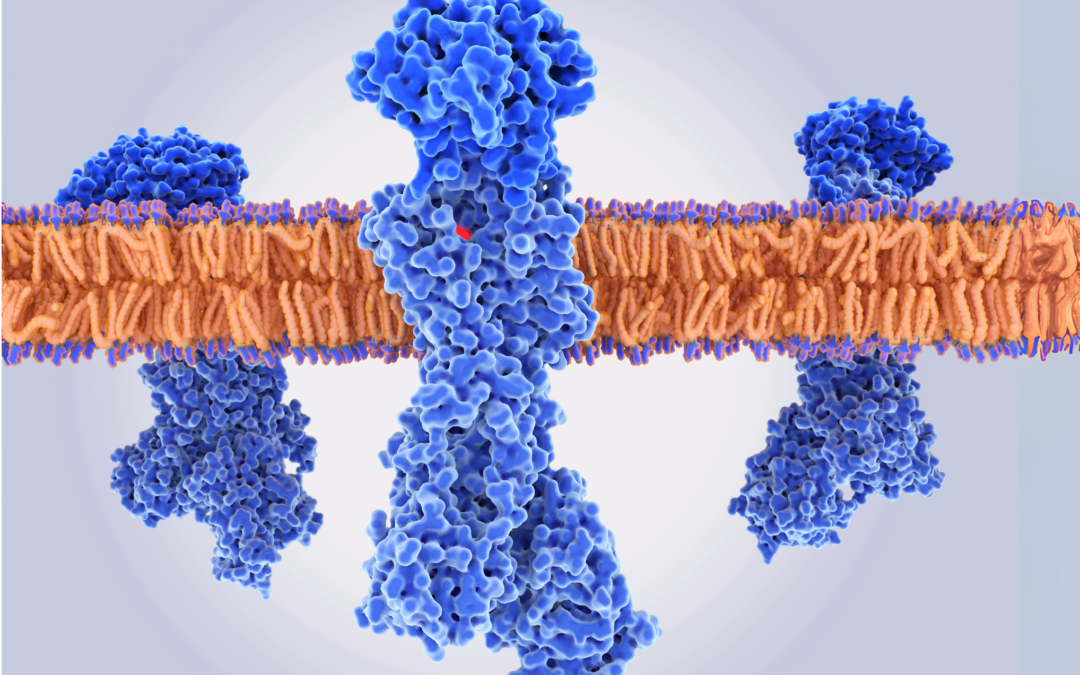 How Acid-Reducing Drugs Like PPIs Interfere With Your Medications — And the FDA’s Stance