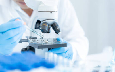Designing Biosimilar Clinical Studies: Navigating Global Regulatory Expectations