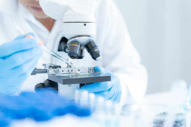 Designing Biosimilar Clinical Studies: Navigating Global Regulatory Expectations